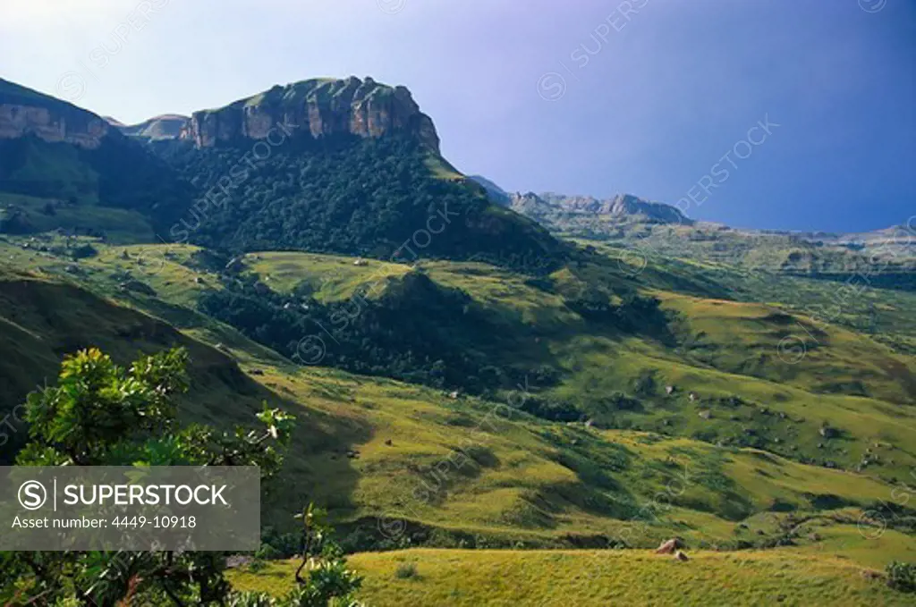 Royal Natal National Park, Drakensberge, Natal, South Africa