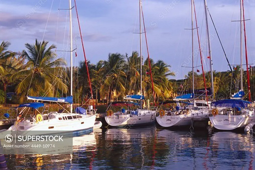 Sailing boats at harbour in front of palm trees, Spanish Town, Virgin Gorda, British Virgin Islands, Caribbean, America