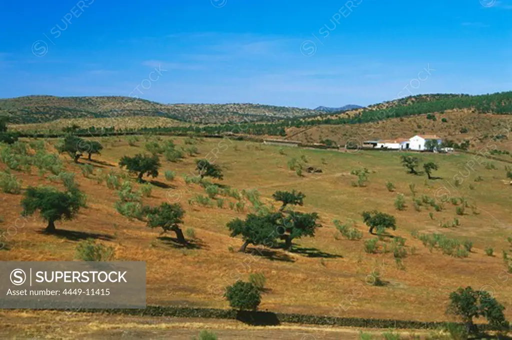 Country Villa near Valverde de Burgillos, Province Badajoz, Extremadura, Spain