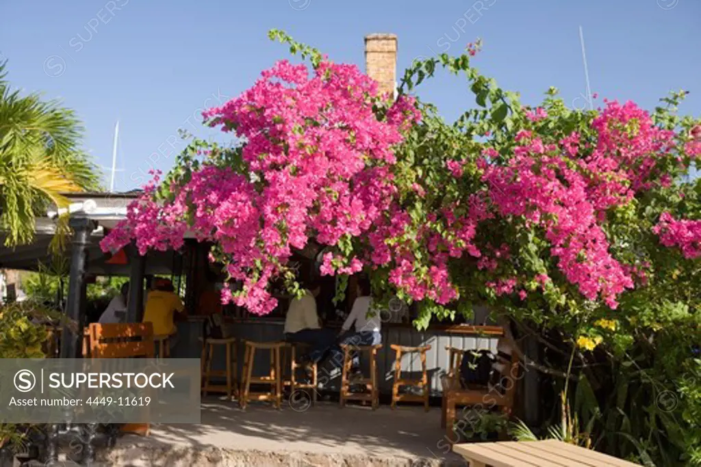 A bar covered with Bougainvillea, Nelson's Dockyard, English Harbour, Antigua