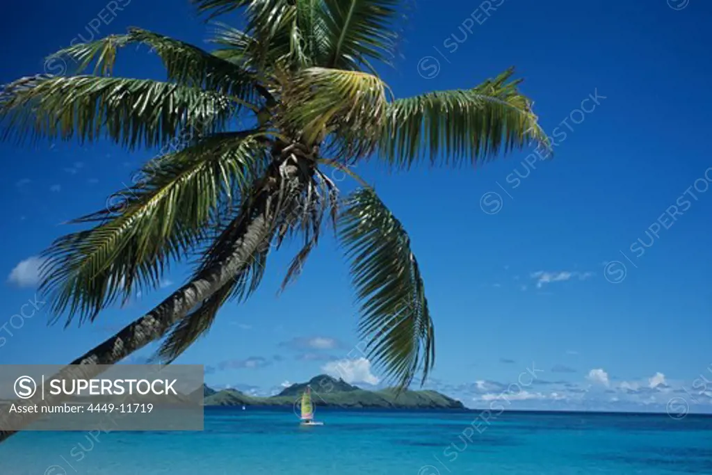 Coconut Tree and Hobie Cat, Tokoriki Island Resort, Tokoriki Island, Mamanuca Islands, Fiji