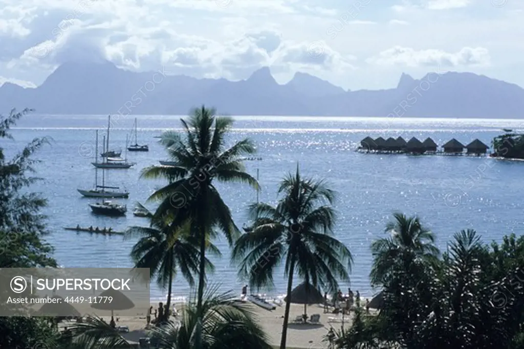 Coconut Trees, Yachts & Moorea, View from Sofitel Maeva Beach Resort, Tahiti, French Polynesia