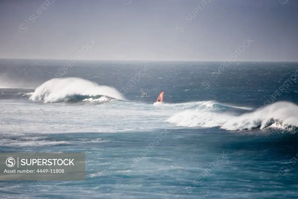 Windsurfers and Giant Waves, near Hookipa Beach, Maui, Hawaii, USA