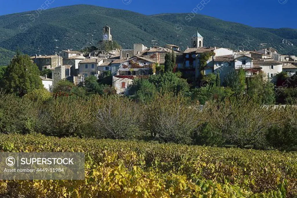 Vineyard in front of the village of Lourmarin, Luberon, Vaucluse, Provence, France, Europe