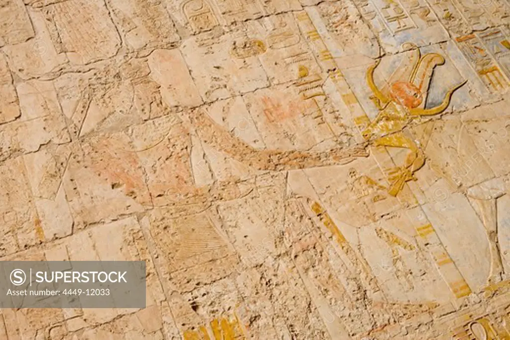 Relief Details at Hatshepsut Temple, Deir el Bahari, near Luxor, Egypt