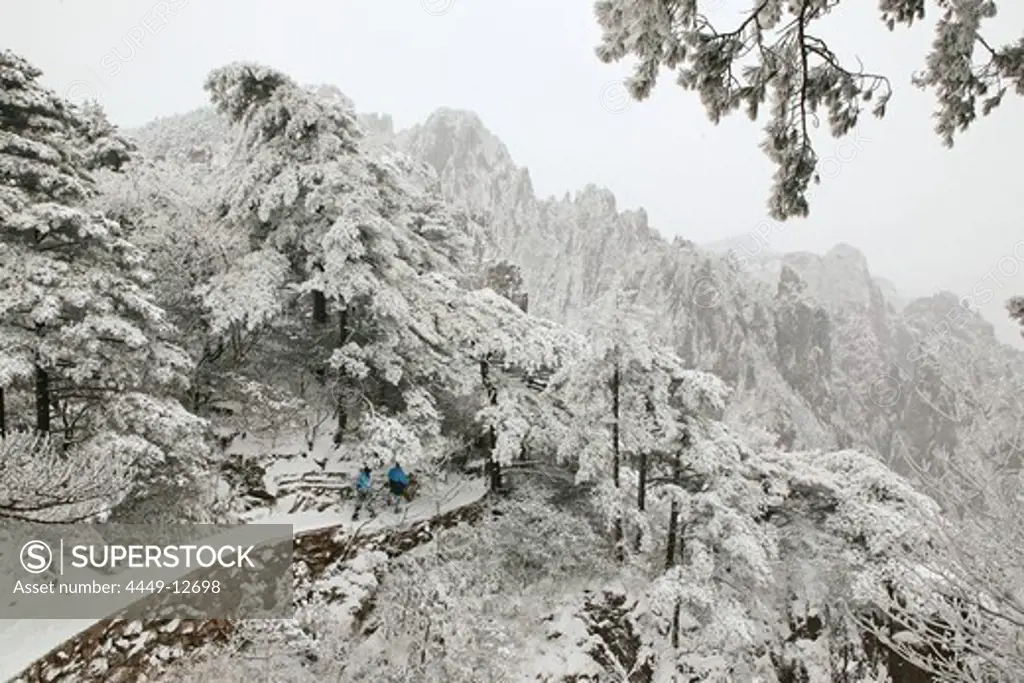 mountain path in snow on slopes of the mountain, Huang Shan, Anhui province, World Heritage, UNESCO, China, Asia
