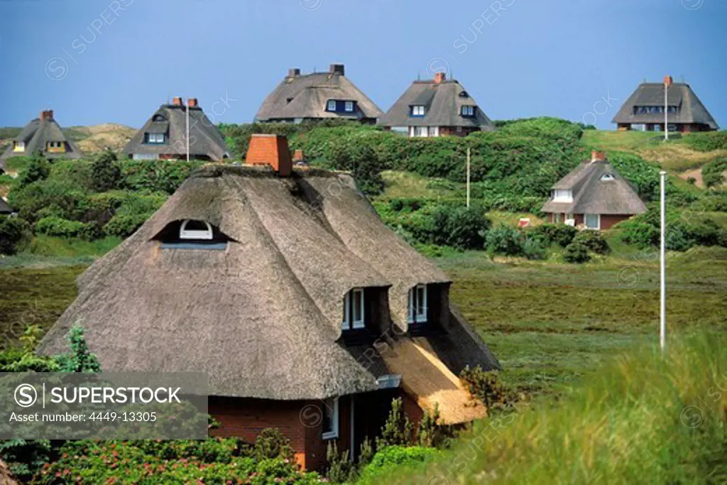 houses in dunes, Westerheide, Sylt, Germany