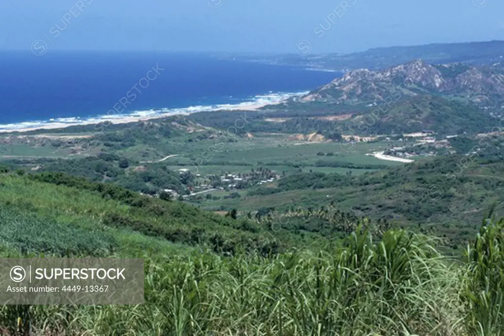 Sugarcane Field & East Coast, Cherry Tree Hill, St. Andrew, Barbados, Carribean