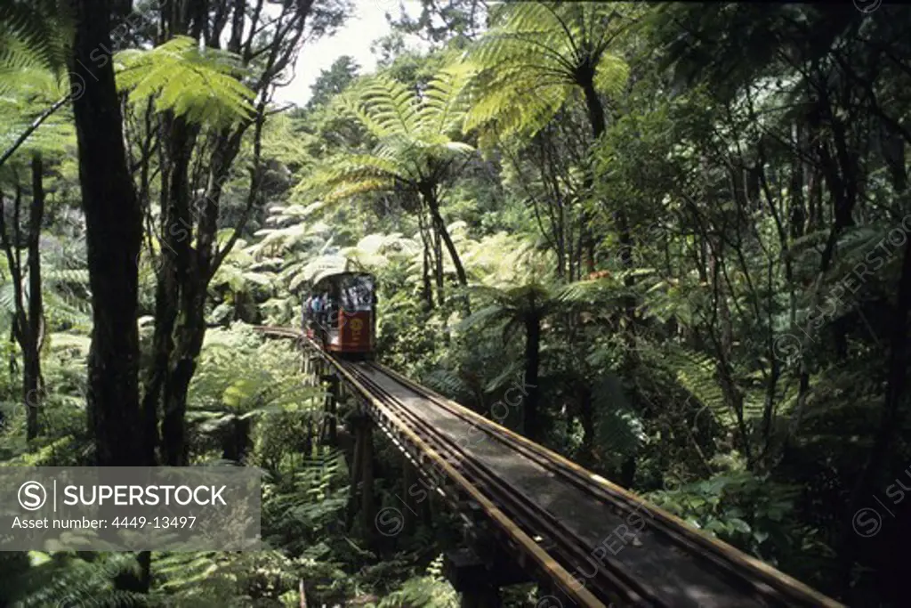 Driving Creek Railway, Coromandel, Coromandel Peninsula, North Island, New Zealand
