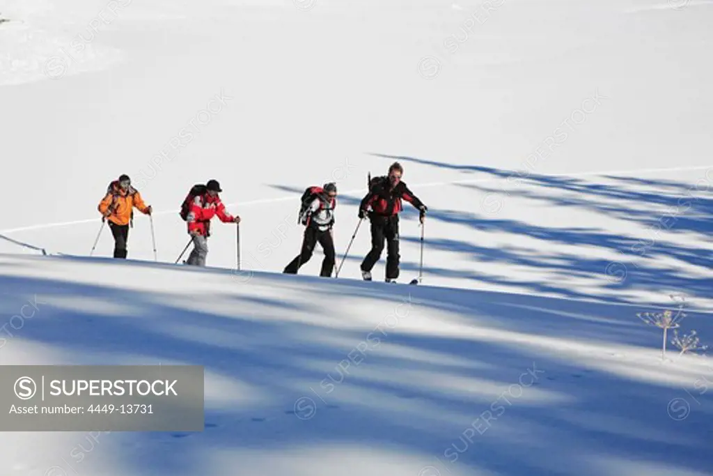 A group of skitourists climb with skis and skins to the top of the Popova Kapa in the Rila Mountains, Europe, Bulgaria