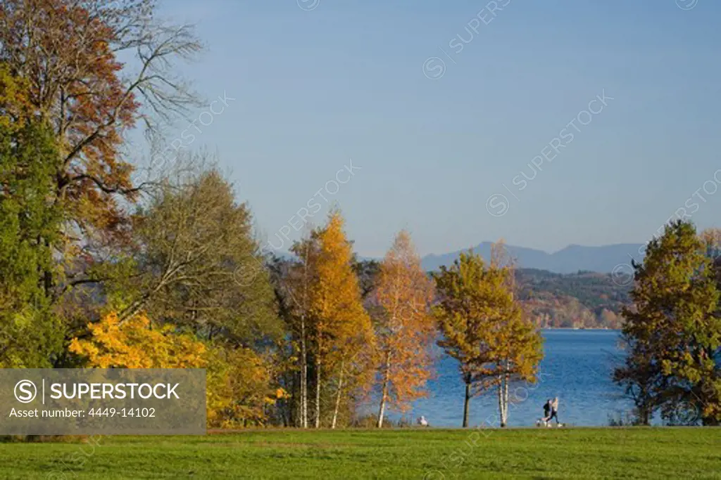 Two people jogging in Park Bernried, Lake Starnberg, Bernried, Upper Bavaria, Bavaria, Germany