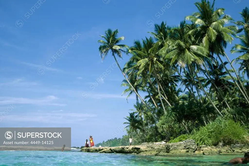 Palm trees on a tropical beach in Sri Lanka