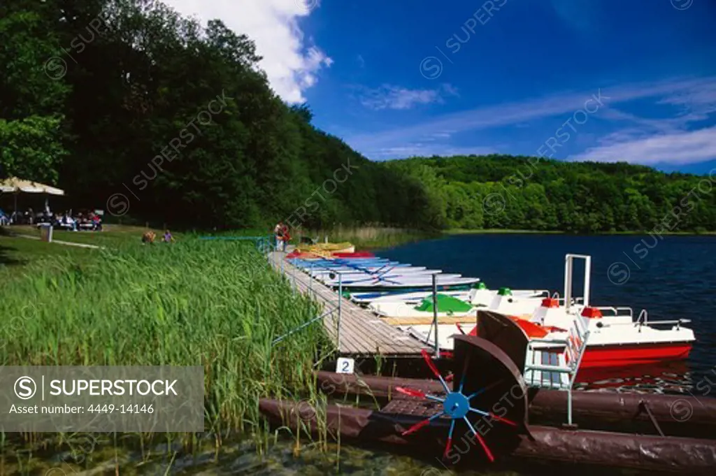 Lake of Wolgast, Natural park Usedom, Usedom Island, Mecklenburg-Western Pomerania, Germany, Europe