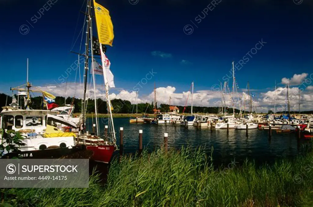 Prerow harbour, Darss, Mecklenburg-Western Pomerania, Germany