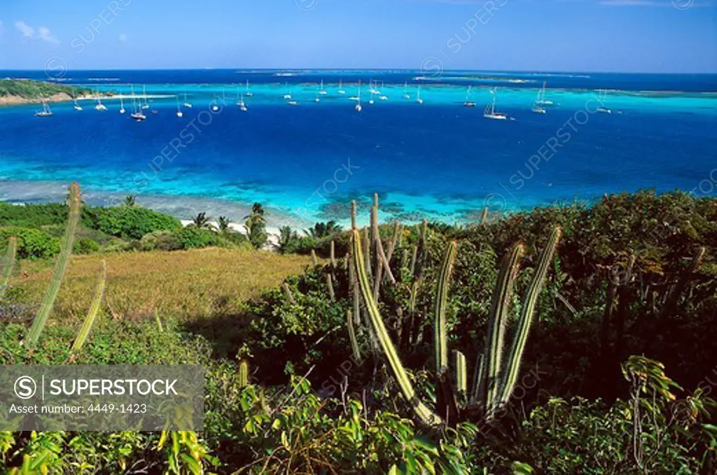 View at boats in a bay in the sunlight, Horseshoe Reef, Tobago Cays, St. Vincent, Grenadines, Carribean, America