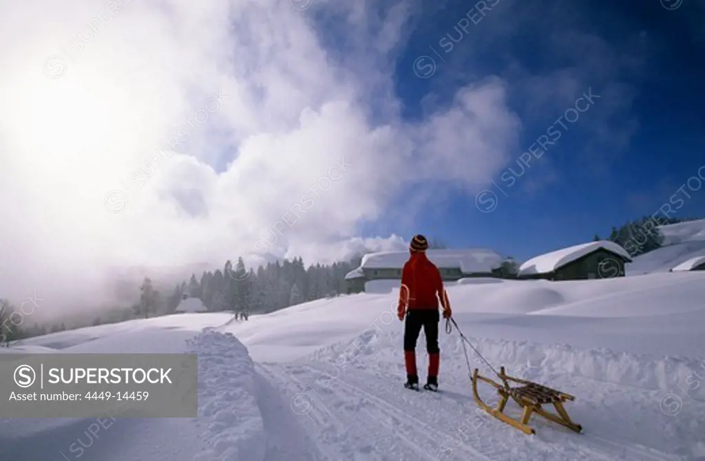 Young woman pulling a sledge on tobbogan run near hut Lustenauer Huette, Schwarzenberg, Bregenzer Wald, Vorarlberg, Austria