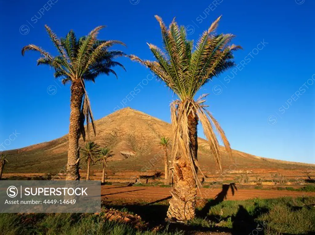 Holy Mountain of the Natives, Montana Tindaya, extinct volcano, Fuerteventura, Canary Islands, Spain