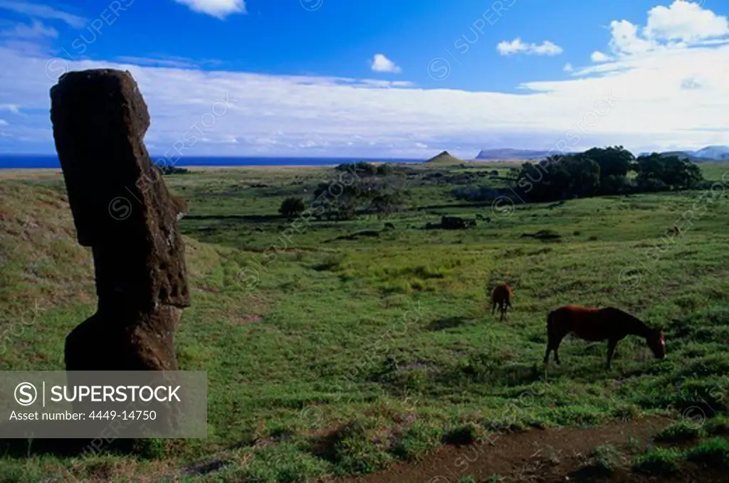 So-called sculptor workshop, Moai, outer slope of Rano Raraku, Easter Island