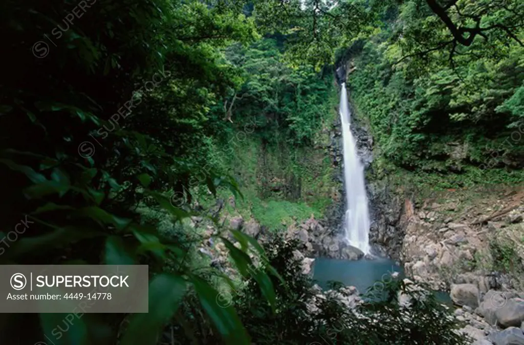 Waterfall Senriga Taki, subtropical Wood of Kirishima-Yako National Park, South Island of Kyushu, Japan