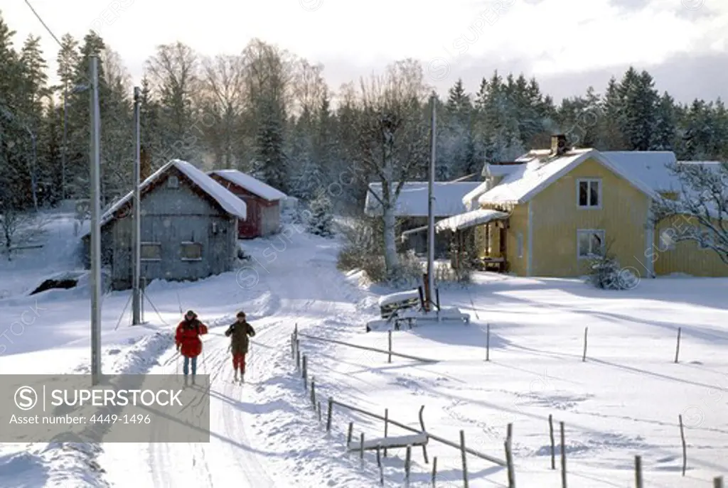 Two cross country skiers on a snow covered road in the sunlight, Vastergotland, Sweden