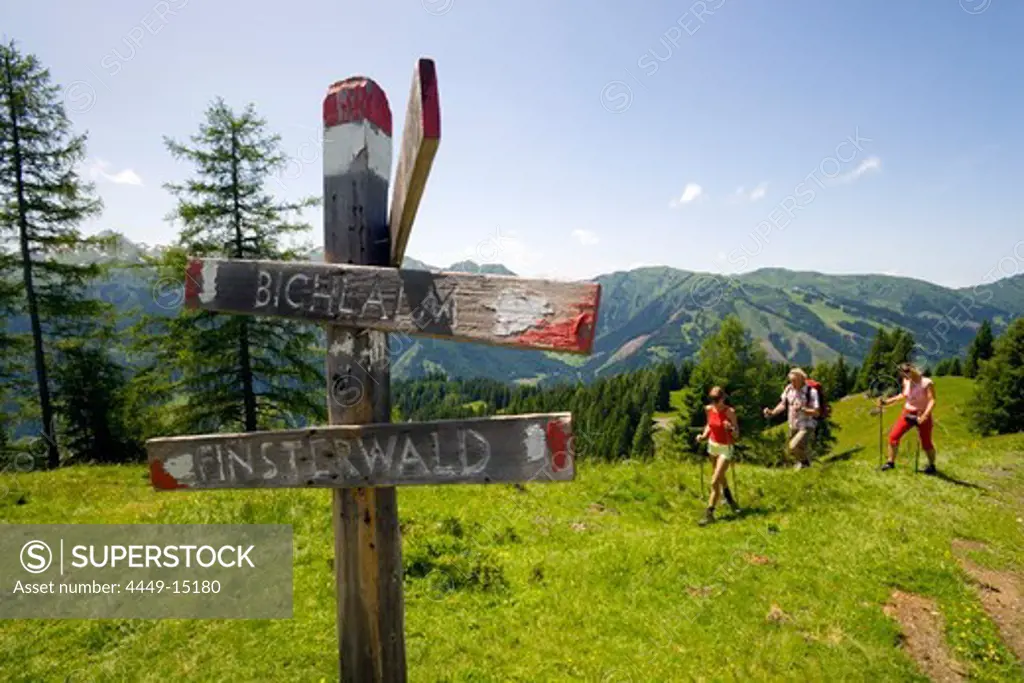 Three hikers arriving sign post, Bichlalm (1731 m), Grossarl Valley, Salzburg, Austria