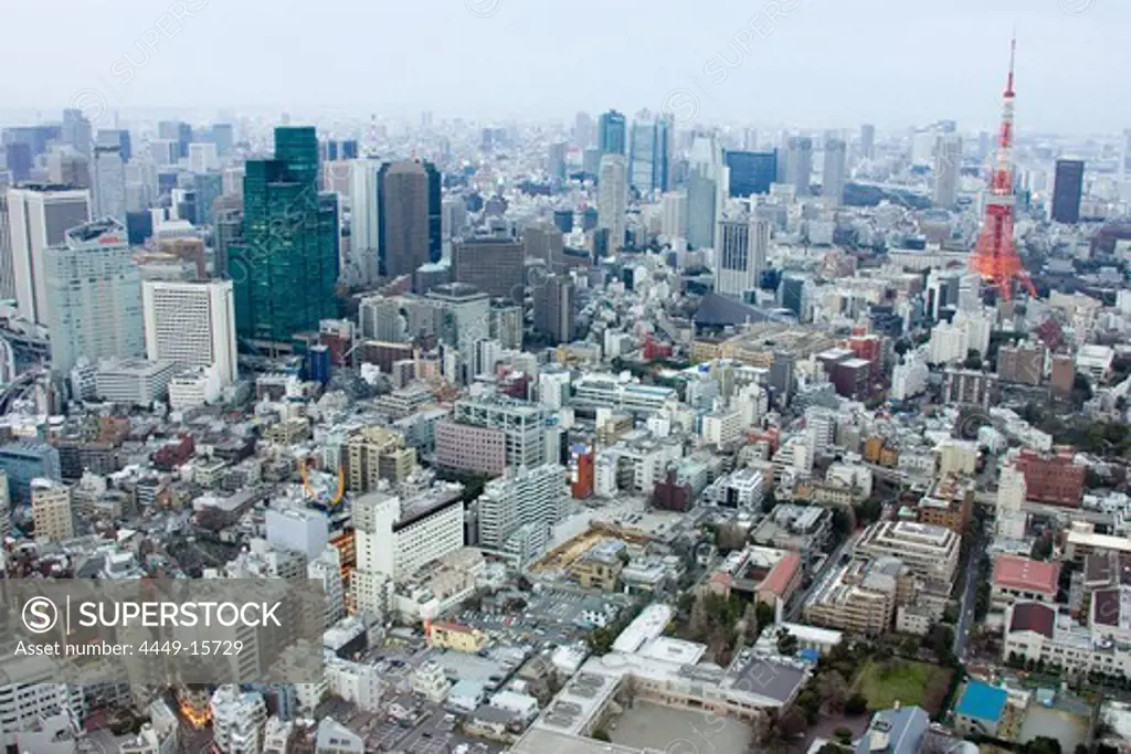 City view from Roppongi Hills Mori Tower, Roppongi Hills to Tokyo Tower, Tokyo, Japan, Asia