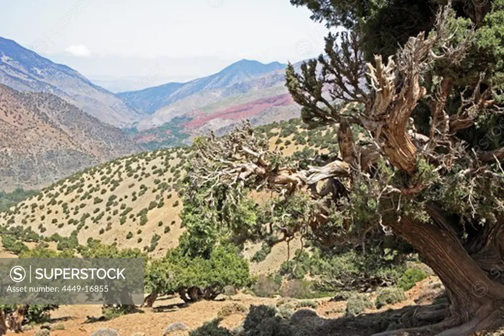 View to Tizi Oussem, Toubkal Region, Atlas Mountains, Morocco, North Africa
