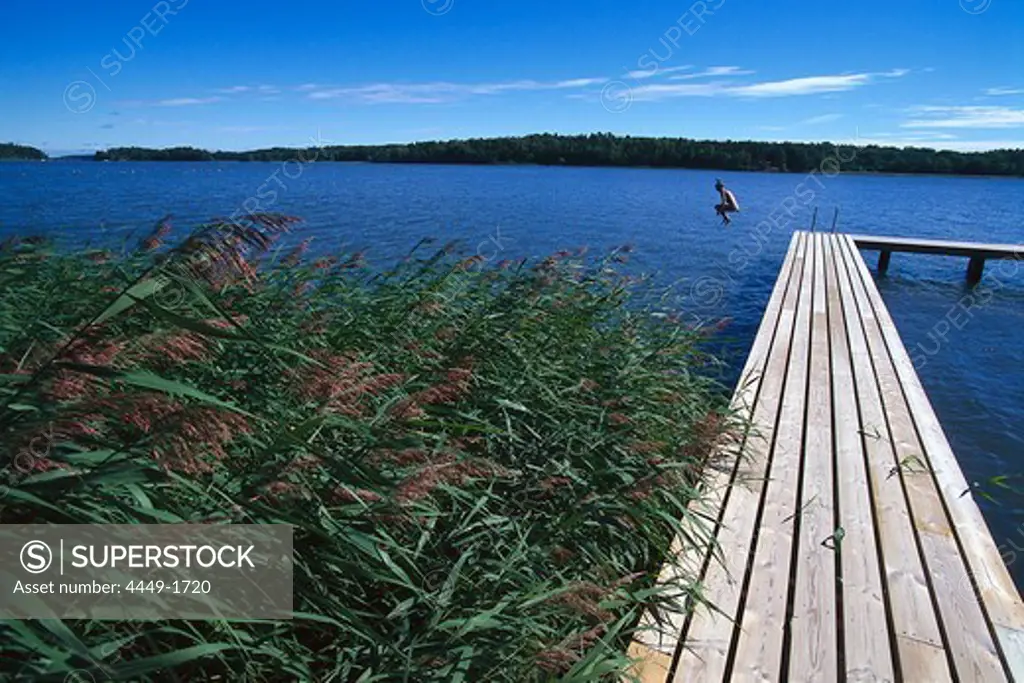 Person bathing at Lake Malar north of Strangnas, Sodermanland, Sweden