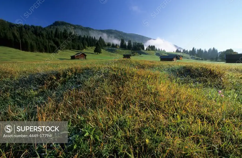 haystacks and humpy meadow of Klais, Garmisch-Partenkirchen, Upper Bavaria, Germany