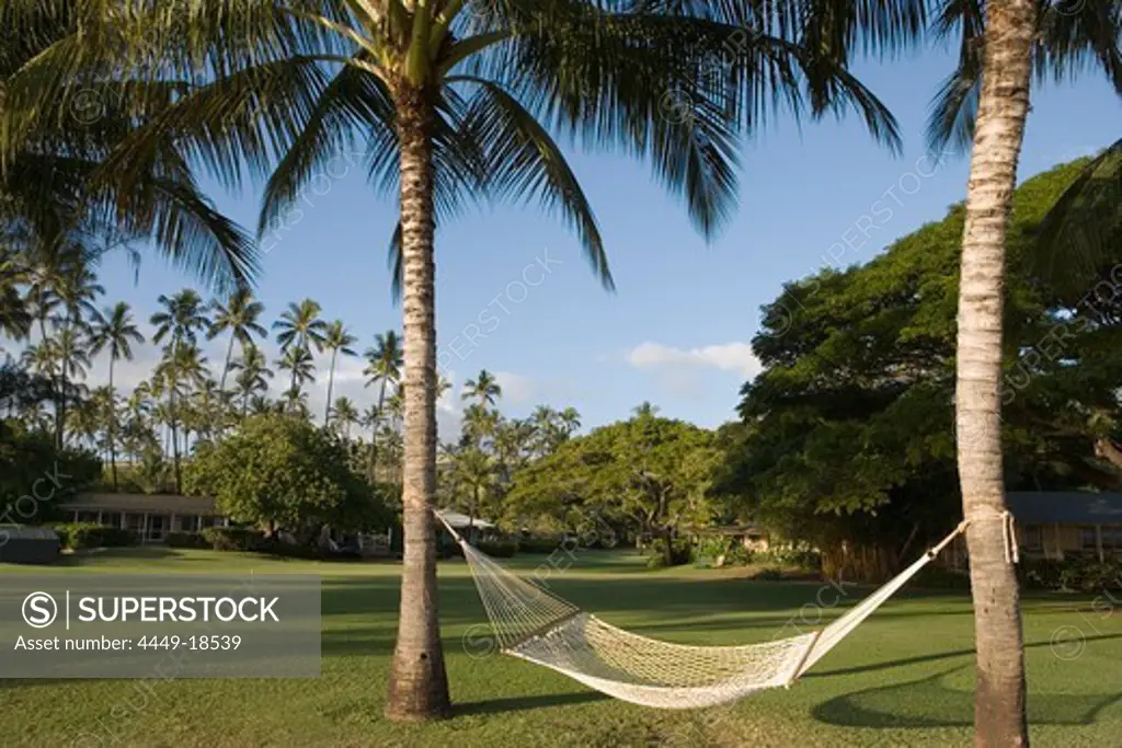 Hammock between Palm Trees, Waimea Plantation Cottages, Waimea, Kauai, Hawaii, USA