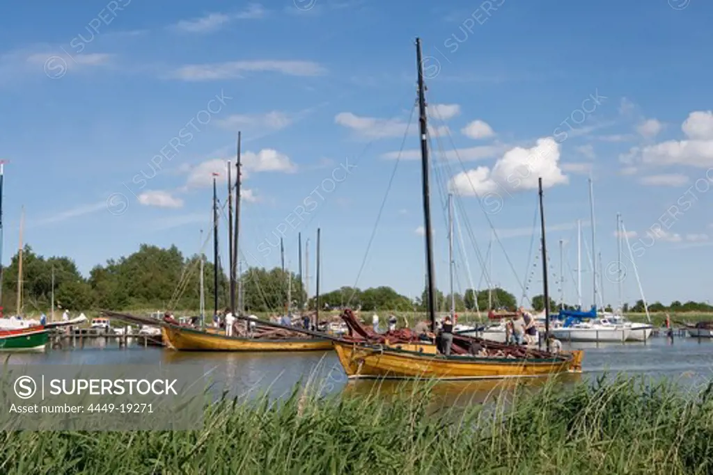 Sailing Regatta, Wustrow, Fischland, Darss, Zingst, Baltic Sea, Mecklenburg-Western Pomerania, Germany