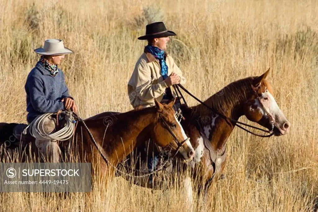 cowboys on horses, Oregon, USA