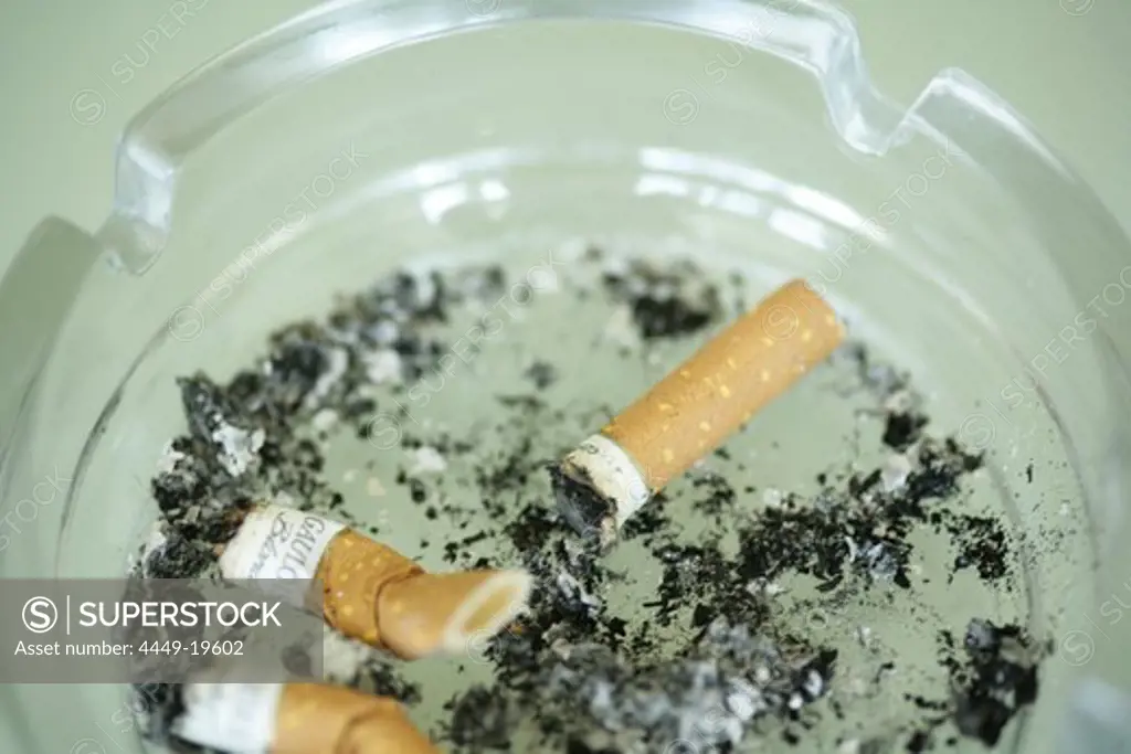 Cigarette butts in an ash tray, Close-up