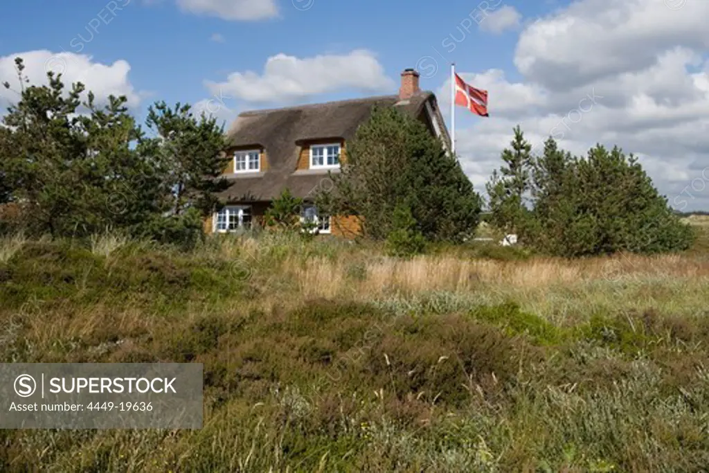 Vacation Home with Reed Roof, Henne Strand, Central Jutland, Denmark