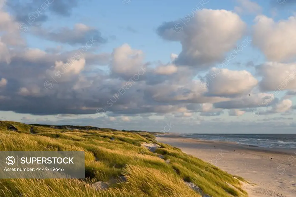 Dunes and Henne Strand Beach, Henne Strand, Central Jutland, Denmark