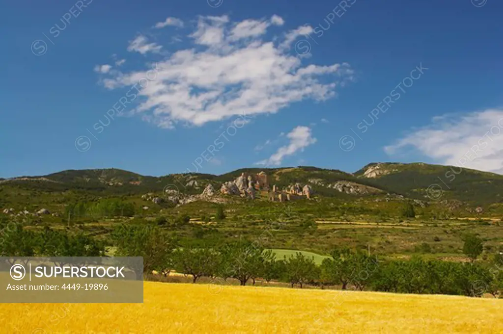 Castle, Castillo de Loarre, early in summer with cornfields and landscape, Loarre, Aragon, Spain
