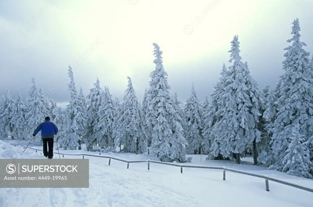winter in Harz Mountains, Saxony Anhalt