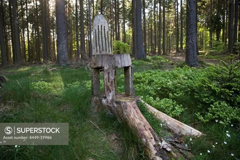 chainsaw art, a carved timber chair in a forest in the Eifel region