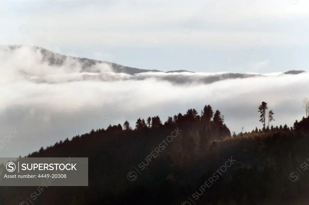 Morning Haze in Autumn, Kinzig Valley, Black Forest, Baden Wuerttemberg, Deutschland, Europe
