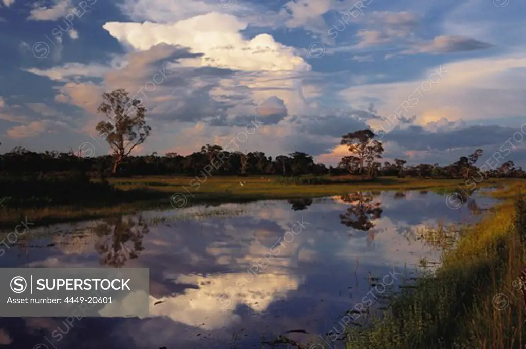 Flood water during the rainy season with trees and clouds reflecting in the water, Pantanal, Mato Grosso, Brasil, South America