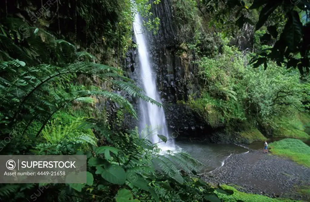 Vaiharuru Falls in Papanoo Valley, Cascade Vaiharuru in Vallee de Papanoo, Tahiti, French Polynesia, South Sea