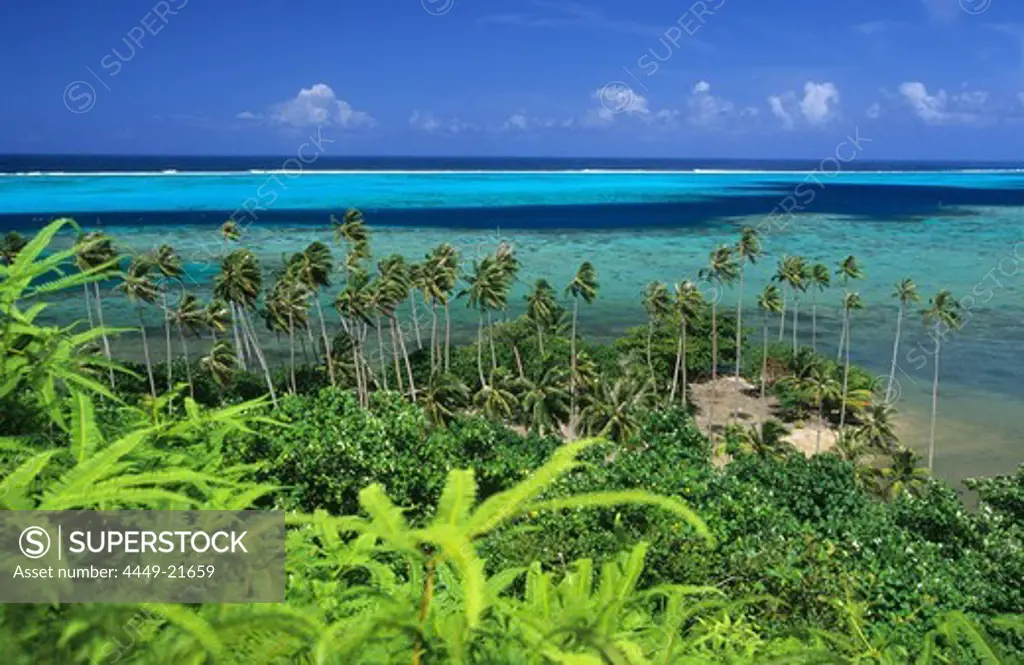 Reef and lagoone on the west coast, Raiatea, French Polynesia, South Sea