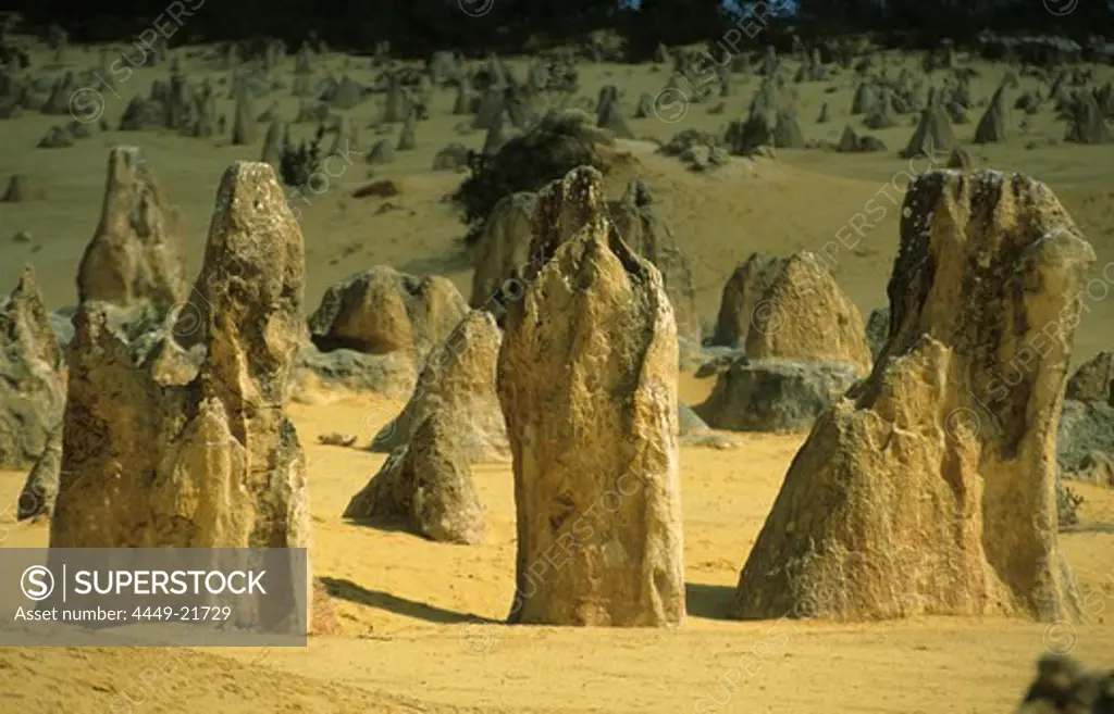 The limestone columns of the Pinnacles, Nambung National Park, Western Australia, Australia