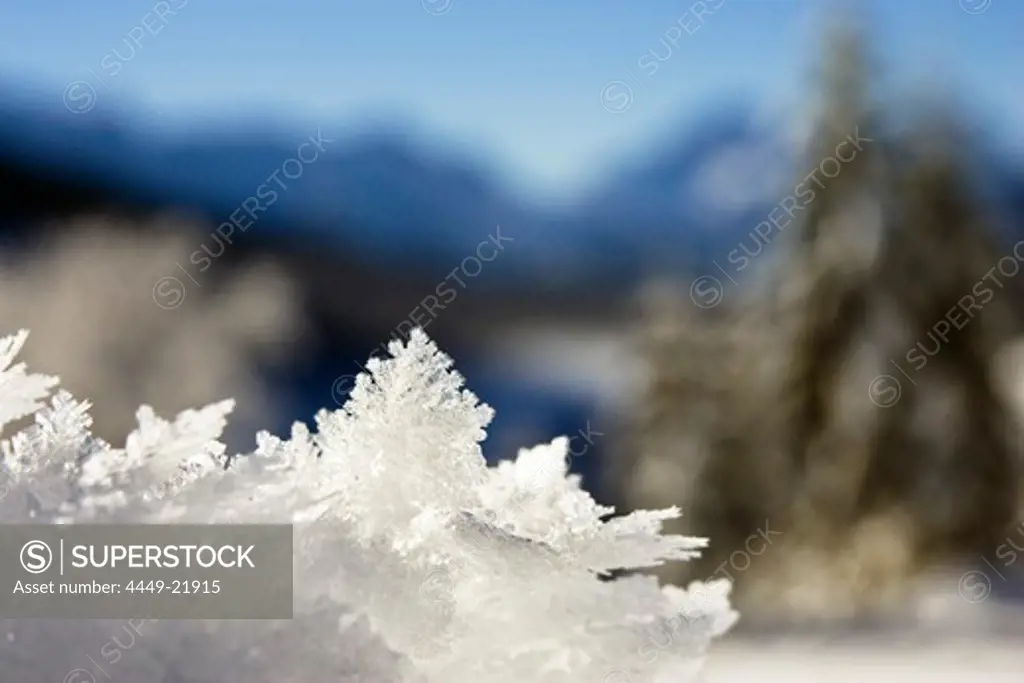 snow crystals, winterscenery, Bavaria, Germany