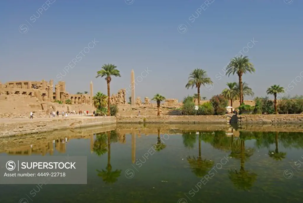 artificial lake with palm trees in Karnak temple, Egypt, Africa
