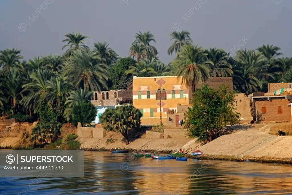 cruise on the Nile, houses and palm trees at bank, Nile between Luxor and Dendera, Egypt, Africa
