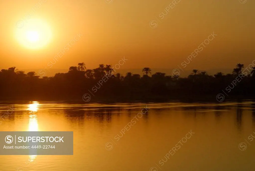 cruise on the Nile, sunset above palm trees at western bank, Nile between Luxor and Dendera, Egypt, Africa