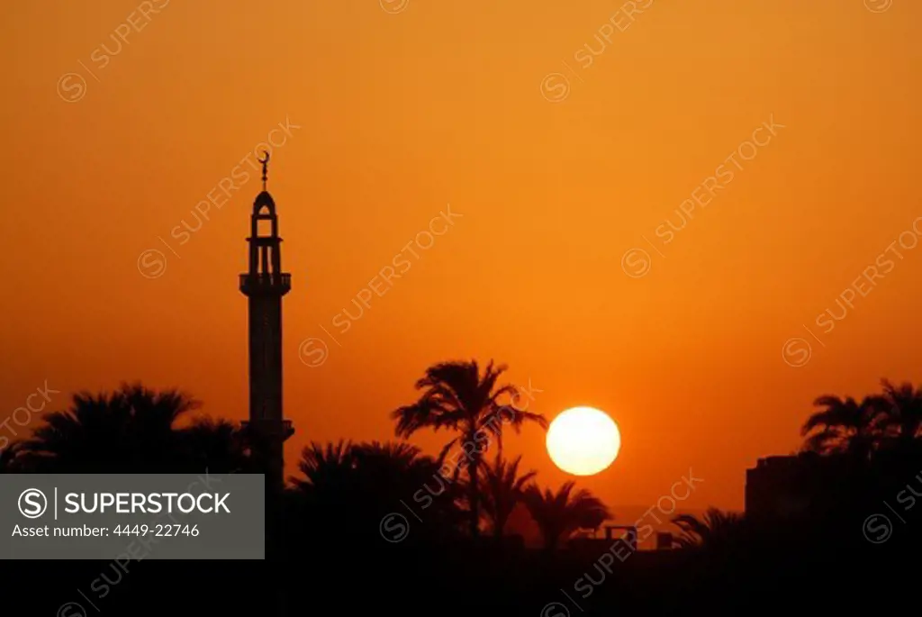 cruise on the Nile, sunset behind minaret and palm trees at western bank, Nile between Luxor and Dendera, Egypt, Africa