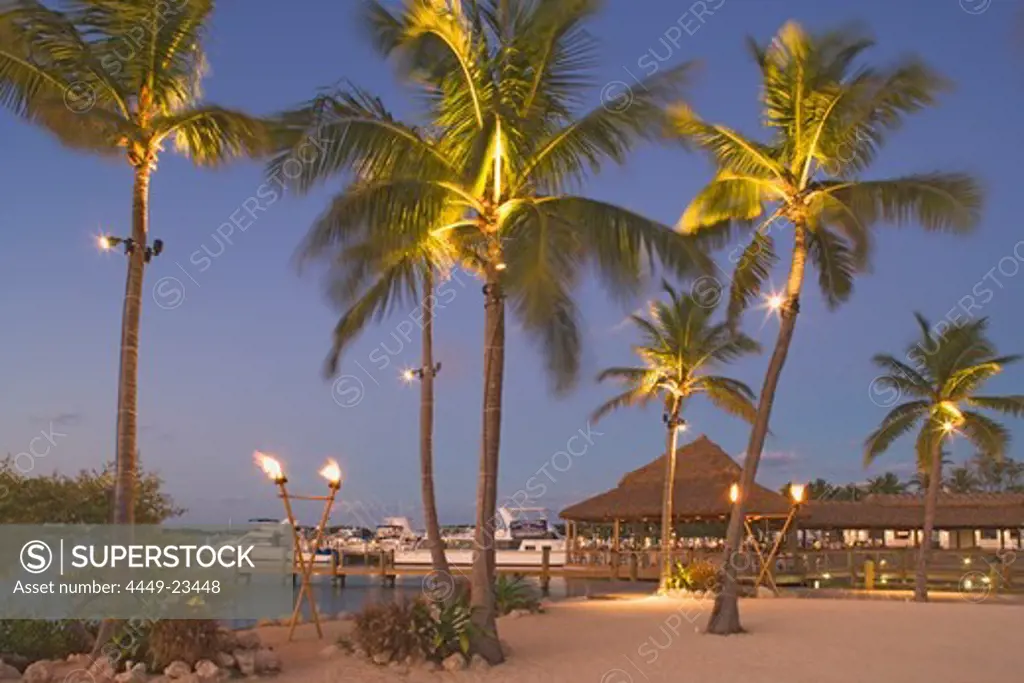 Palm trees and the Holiday Isle Resort in the evening, Islamorada, Florida Keys, Florida, USA