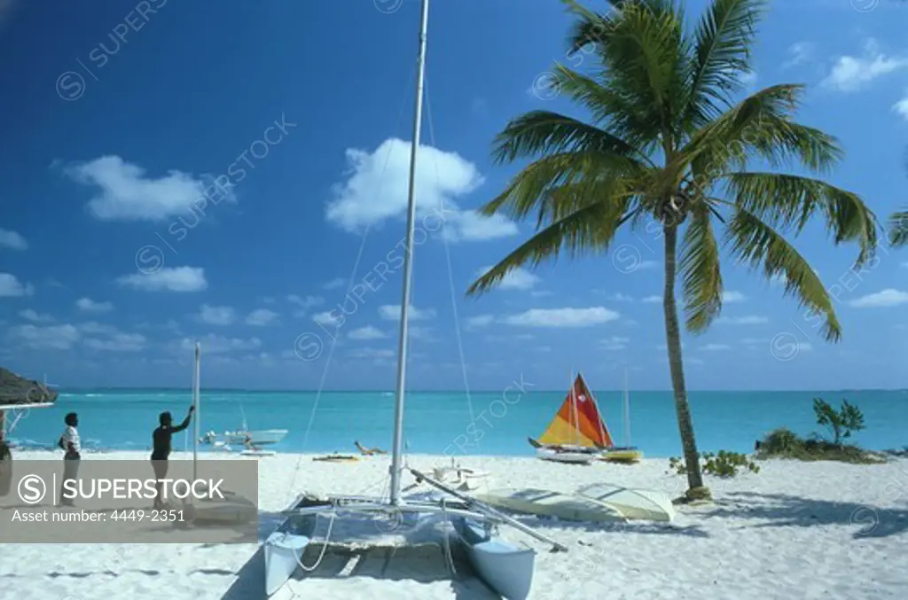 Sandy beach with palm tree and catamaran, Treasure Cay, Strand, Abaco, Bahamas